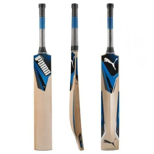 Puma EvoPower 1 Cricket Bat