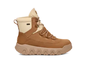 UGG TerreTrail Hi-Top Chestnut Women's